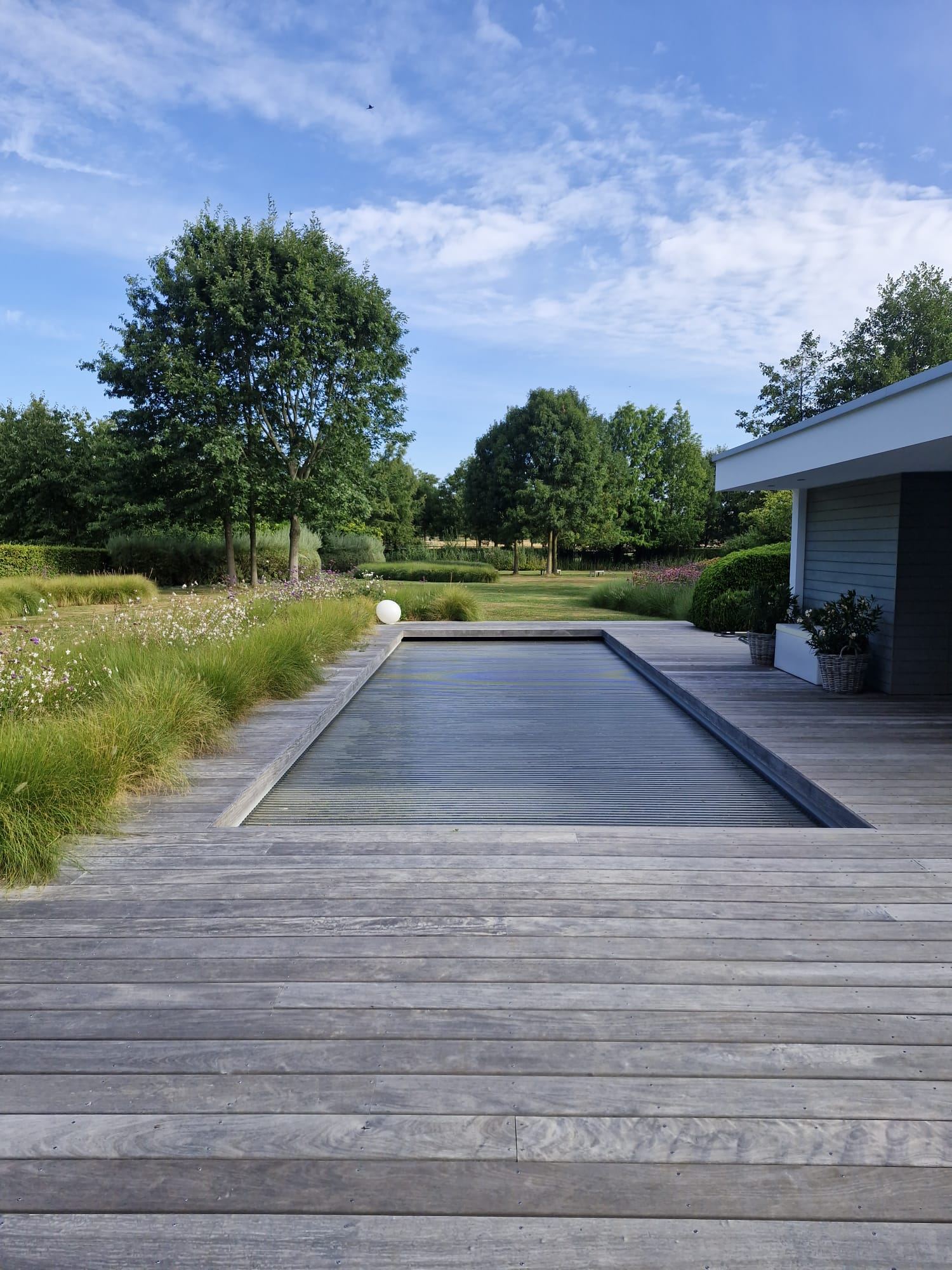 Landschapstuin met vaste planten, siergrassen en gesnoeide hagen — realisatie Jardim
