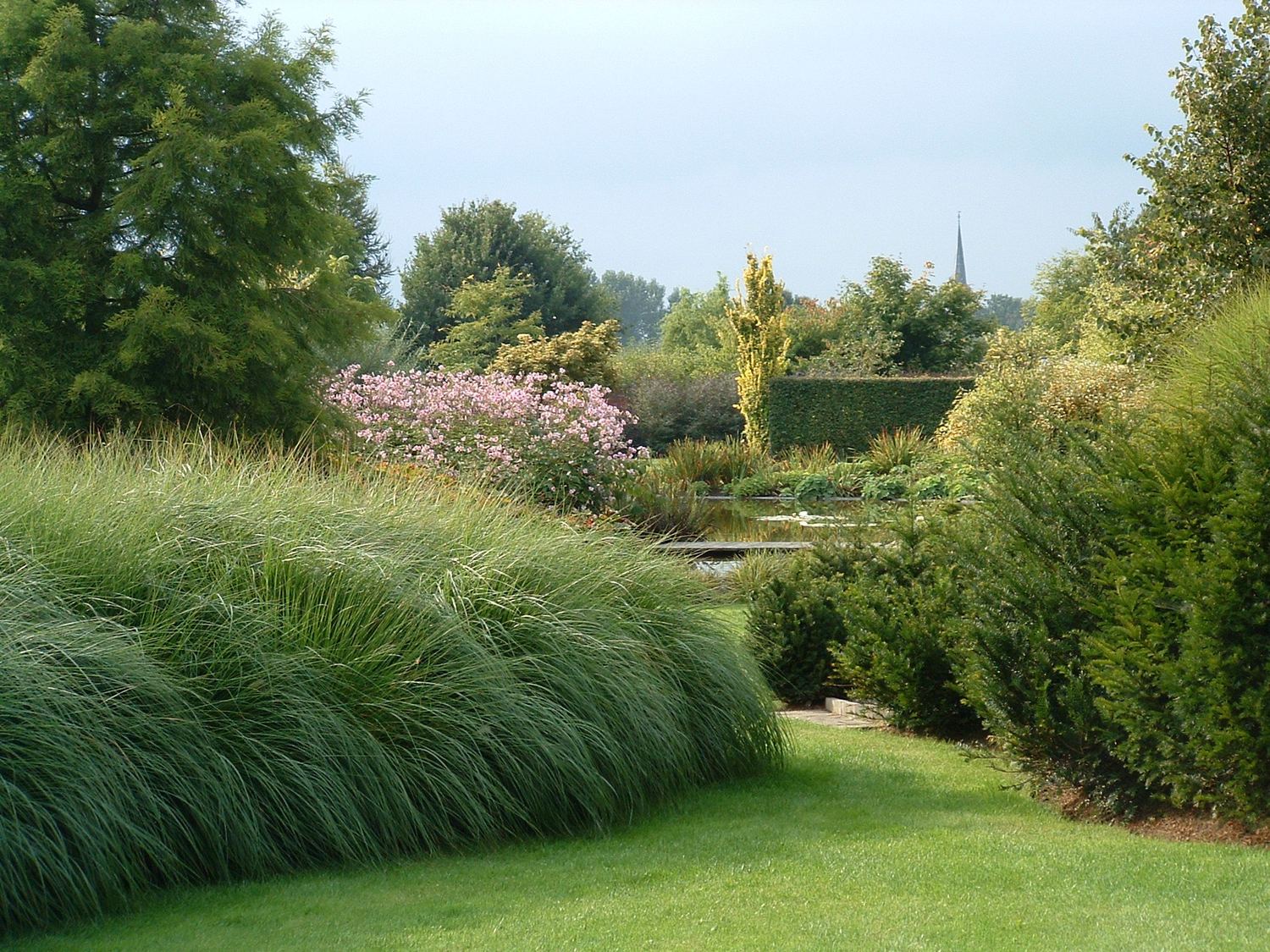 Landschapstuin met natuurlijke vijver en siergrassen — realisatie Jardim